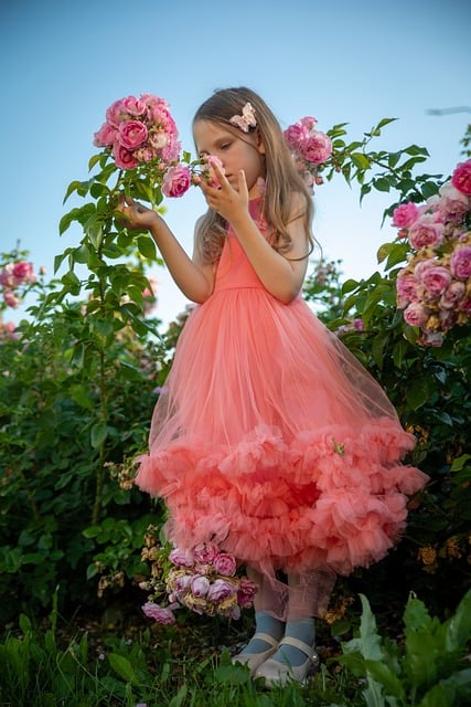 Rosa, Flor, Natureza