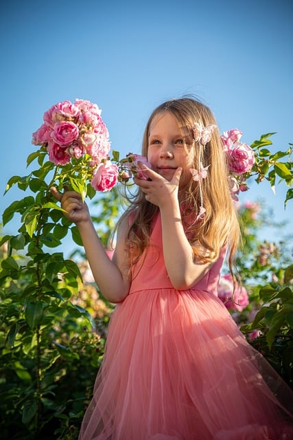Rosa, Flor, Natureza, Menina, Fofo