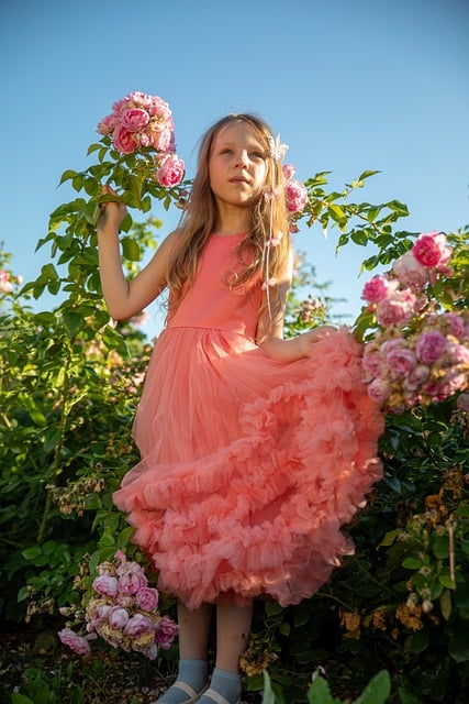 Rosa, Flor, Natureza, Botânica, Menina