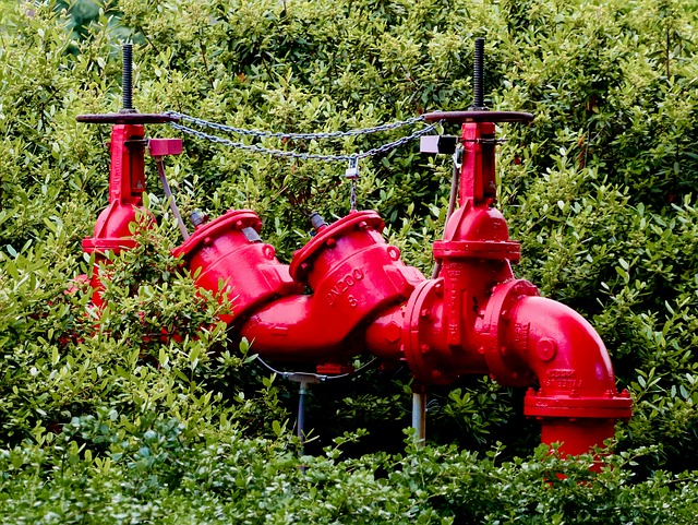 Hydrant, Have, Metal, Rød, Ventil, Rør