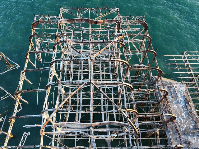 Free Brighton Pier photo and picture