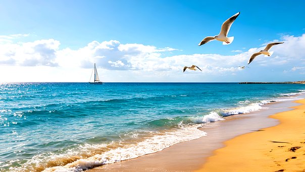 Free Beach Ocean illustration and picture