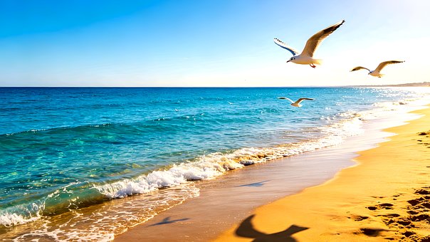 Free Beach Sea illustration and picture