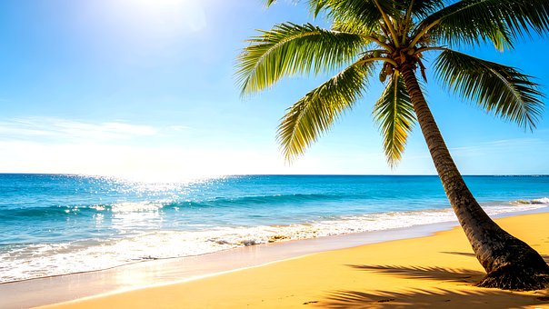 Free Beach Ocean illustration and picture