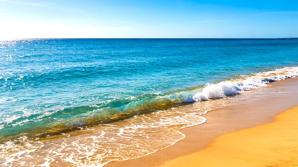 Free Beach Ocean illustration and picture
