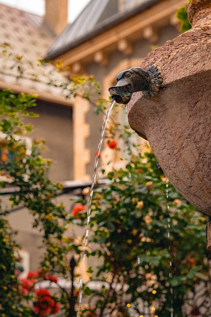 Brunnen, Statue, Wasser, Garten