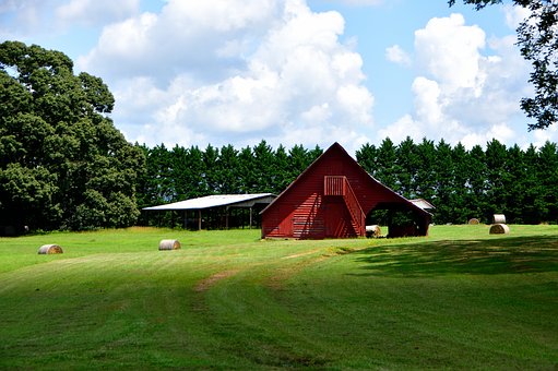 Free Farm Meadow photo and picture