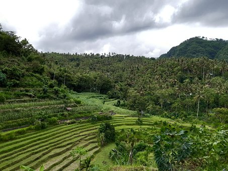 Indonesien, Bali, Natur, Landschaft