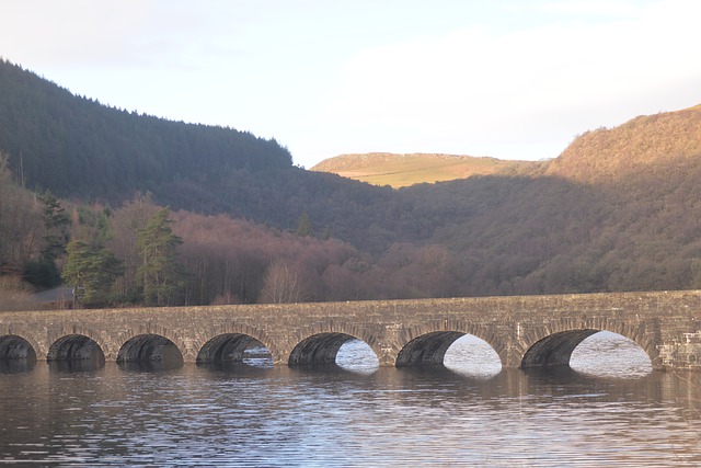 Free Nature Bridge photo and picture