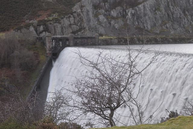 Free Dam Nature photo and picture