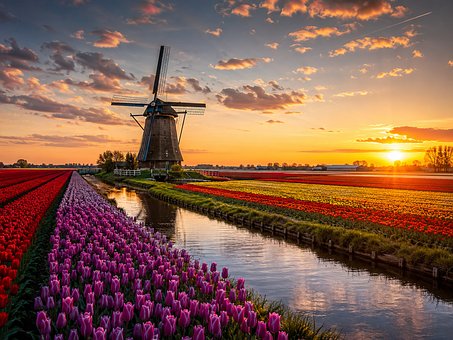 Free Netherlands Windmill illustration and picture
