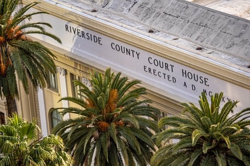 Free Courthouse Palm Tree photo and picture