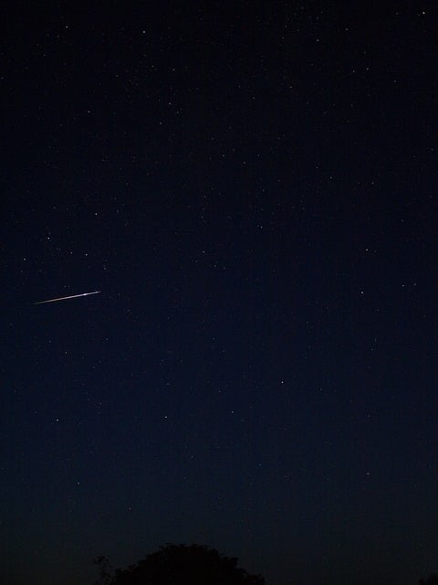 Free Night Sky Perseids photo and picture
