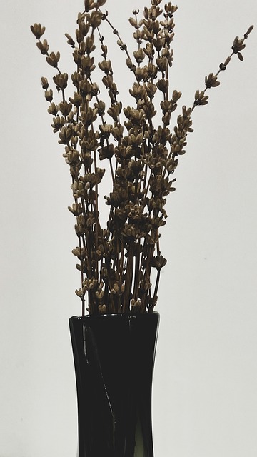 Free Dried Flowers Vase photo and picture