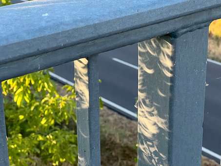 Free Solar Eclipse Crescent photo and picture