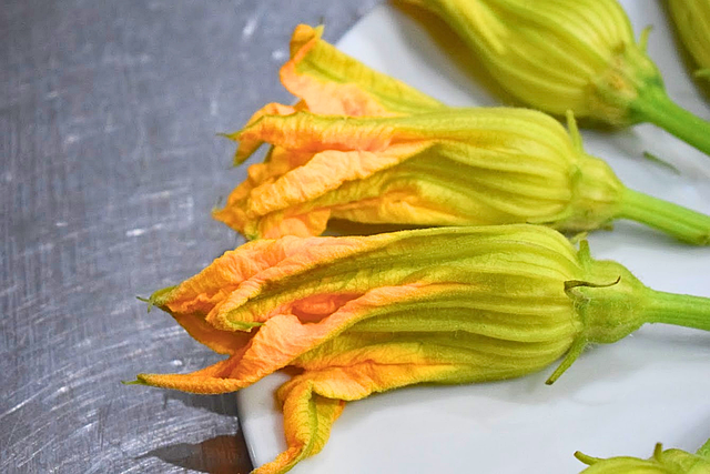Bloem, Courgette, Eetbare Bloem, Bord