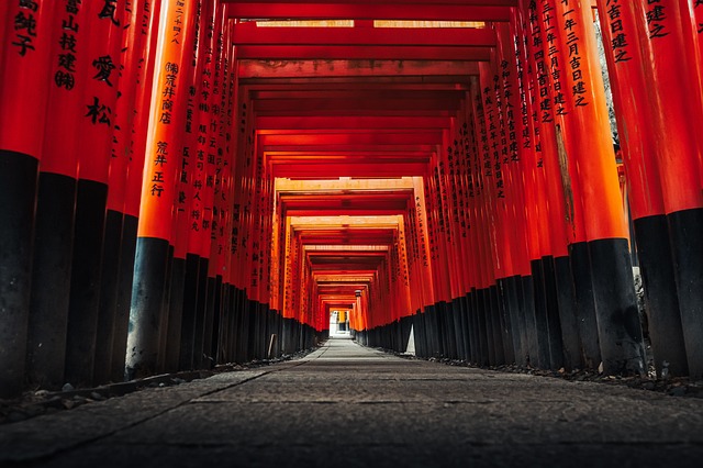 Free Torii Shinto Shrine photo and picture