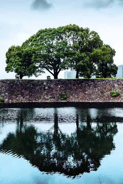 Free Japan Tokyo photo and picture