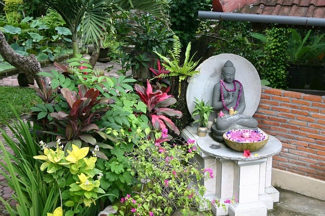 Free Buddha Buddhism photo and picture