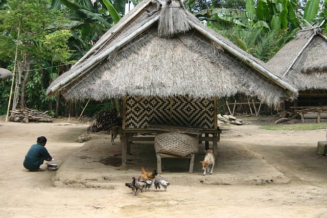 Free Indonesia Bali photo and picture