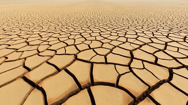 Free desert dryness landscape illustration