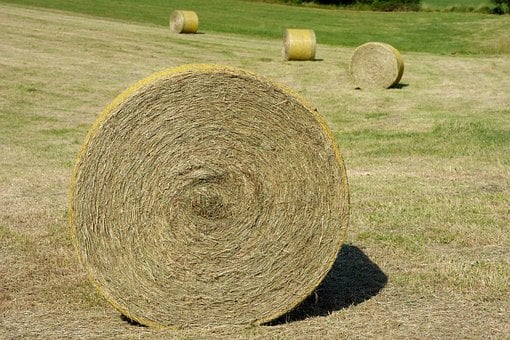 Heu, Balle, Rollen, Feld, Landwirtschaft