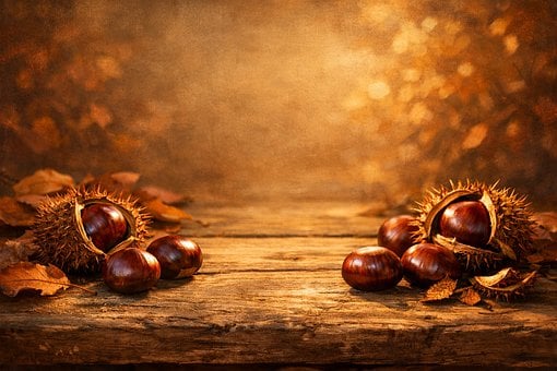 Castanhas, Outono, Folhas, Madeira