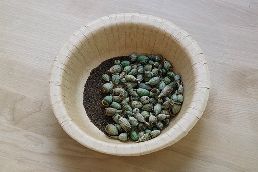 Free Poppy Pods Wooden Bowl photo and picture