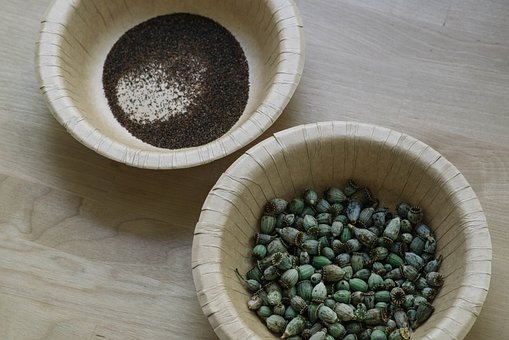 Free Poppy Seeds Natural Ingredients photo and picture