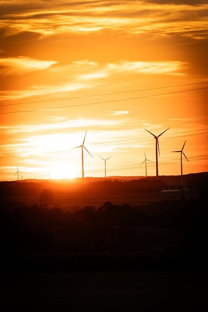 Free Wind Farm Renewable Energy photo and picture