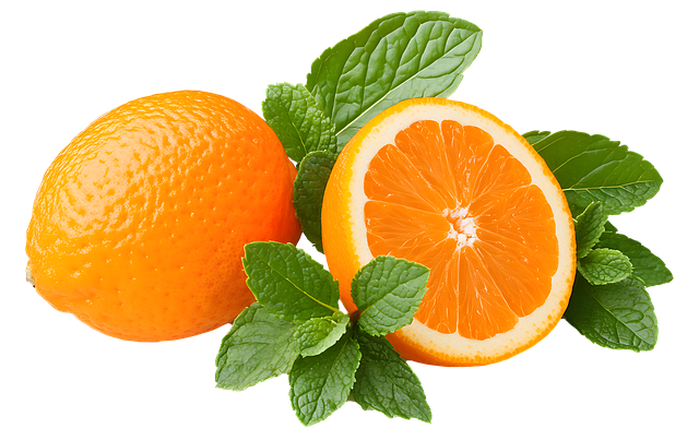Free orange fruit citrus illustration