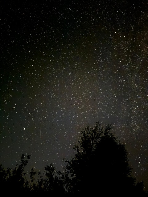 Free Dark Stars photo and picture