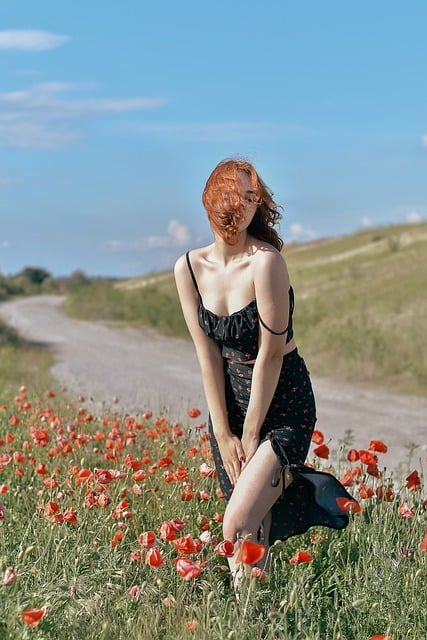 Free Nature Poppy photo and picture