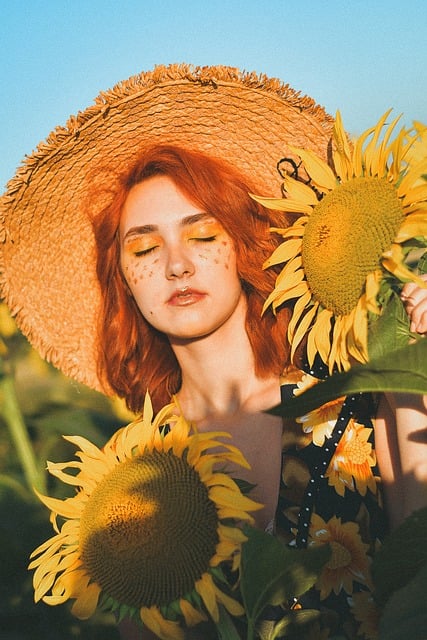 Free Nature Sunflower photo and picture