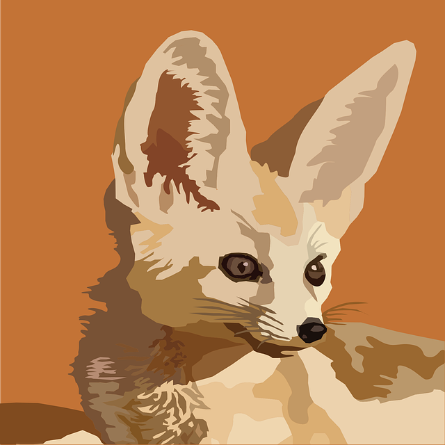 Free fennec desert wildlife vector