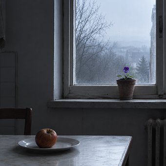 Măr, Farfurie, Fereastră, Iarnă