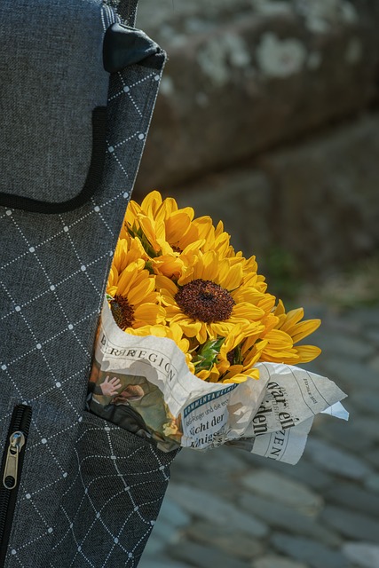 Free Sunflowers Flowers photo and picture