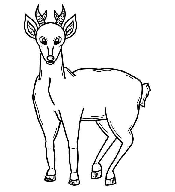 Free Huemul Chilean Culture illustration and picture