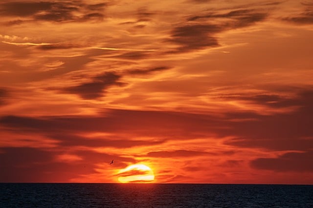 Free Sunset Sea photo and picture