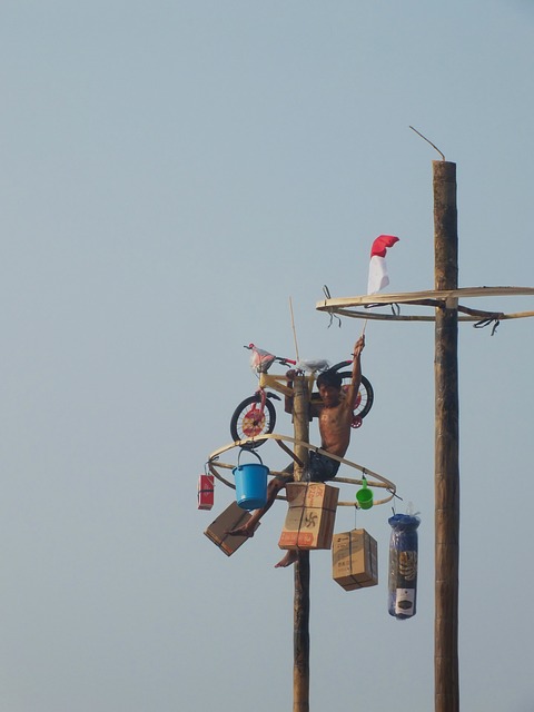 Free Indonesia Pole Climbing Competition photo and picture