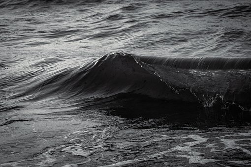 海, 海洋, 海滩, 水, 波浪, 海岸, 黑白, 单色, 景观, 海岸线, 波