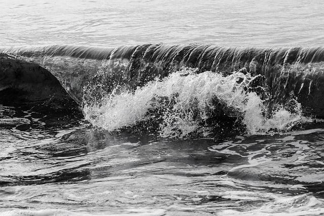Free Sea Waves photo and picture