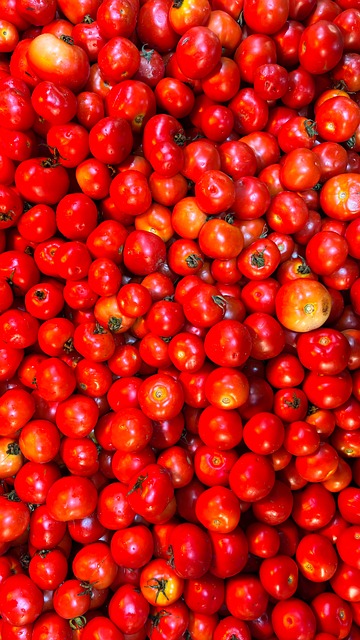Free Tomatoes Red photo and picture