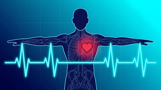 Kardiologie, Ekg, Herz, Die Gesundheit