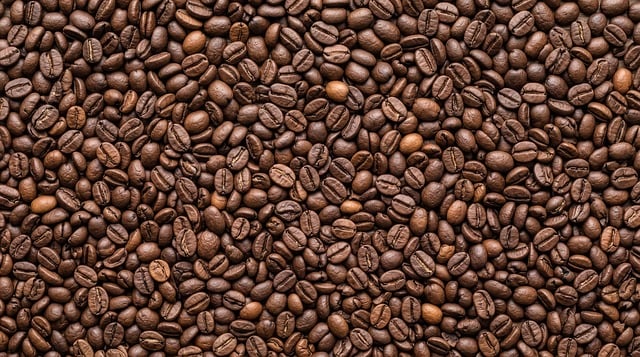 Free Coffee Beans Caffeine photo and picture