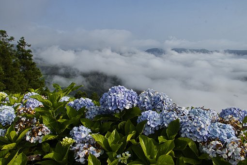 Free Landscape Clouds photo and picture