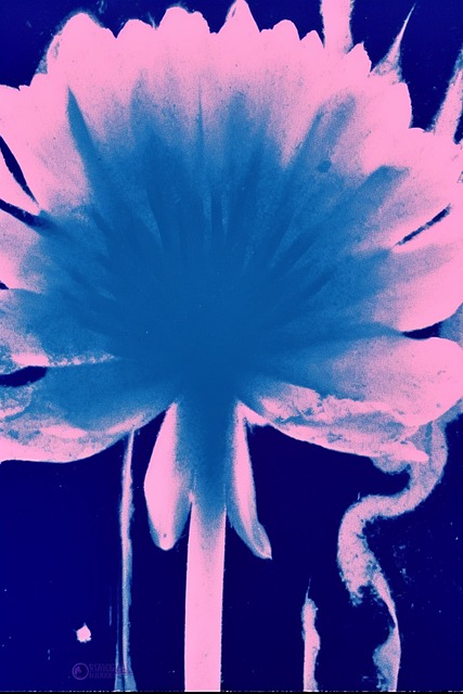 Free flower abstract infrared illustration