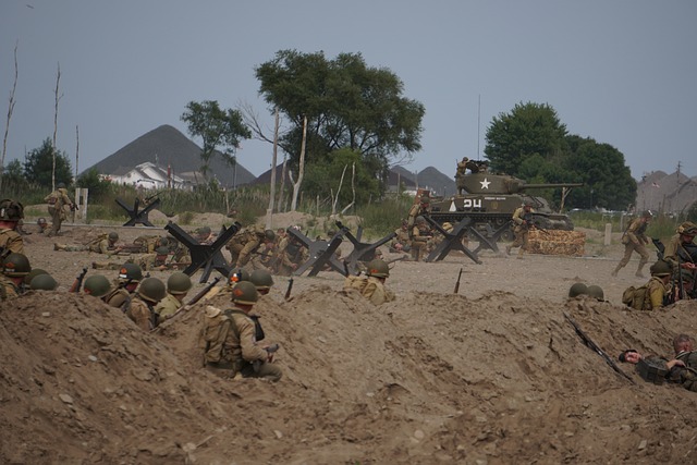Free History Military Tactics photo and picture
