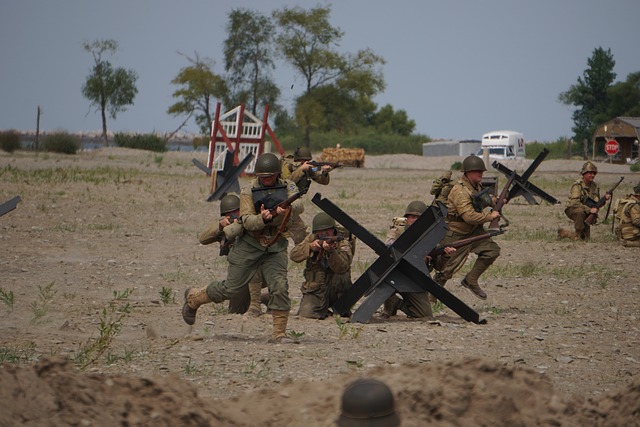 Free Military Strategy Military Reenactment photo and picture