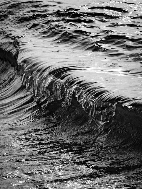 Free Wave Sea photo and picture